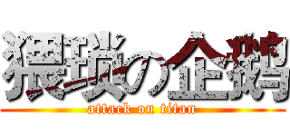 猥琐の企鹅 (attack on titan)