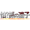 怕嘎抓の迷子 (Cockroach kill me)