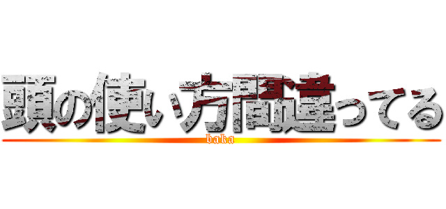 頭の使い方間違ってる (baka)