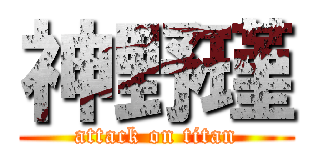 神野瑾 (attack on titan)