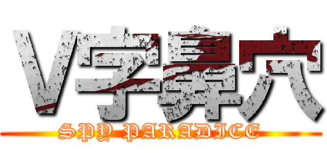 Ｖ字鼻穴 (SPY PARADICE)