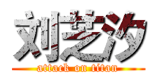 刘芝汐 (attack on titan)
