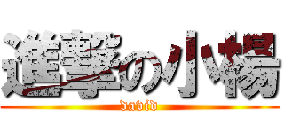 進撃の小楊 (david)