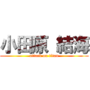 小田原 結海 (attack on titan)