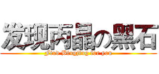 发现丙晶の黑石 (Find Bingjing for you)