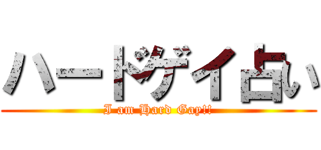 ハードゲイ占い (I am Hard Gay!!)