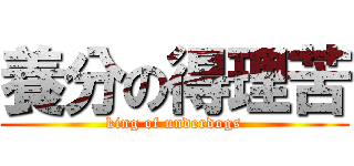 養分の得理苦 (king of underdogs)