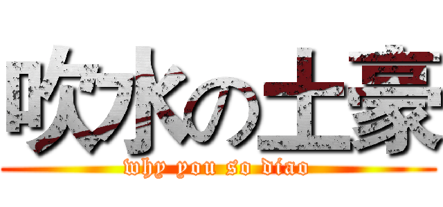 吹水の土豪 (why you so diao)
