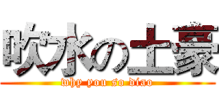 吹水の土豪 (why you so diao)