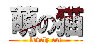 萌の猫 (lovely cat)