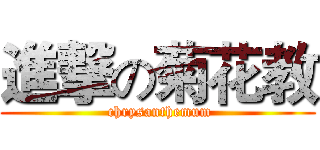 進撃の菊花教 ( chrysanthemum)