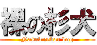 裸の杉犬 (Naked cedar dog)