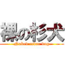 裸の杉犬 (Naked cedar dog)