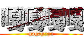 嘎嘎嘎嘎 (gagagaga)