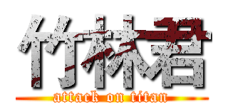 竹林君 (attack on titan)