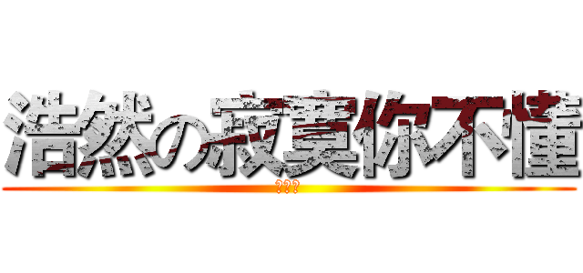 浩然の寂寞你不懂 (你不懂)