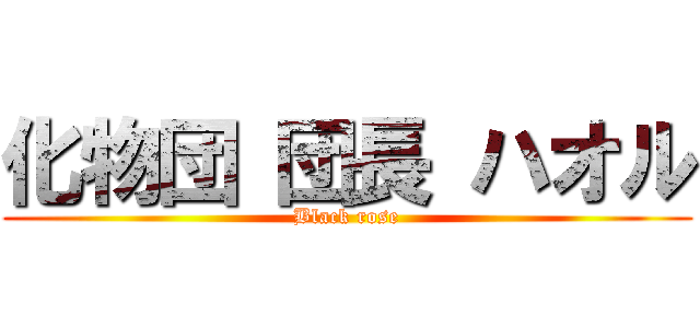 化物団 団長 ハオル (Black rose)