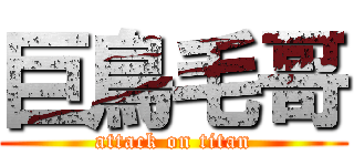 巨鳥毛哥 (attack on titan)