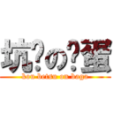 坑爹の苯蛋 (kou betsu on baga)