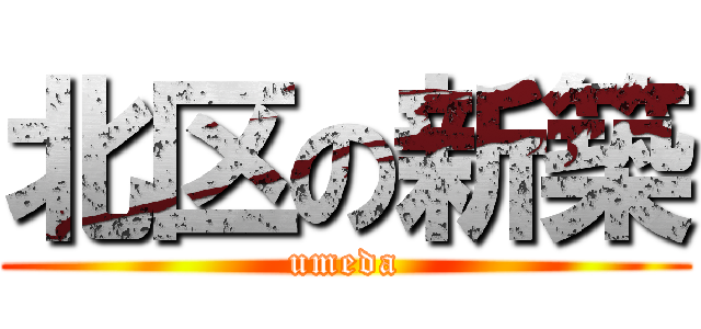 北区の新築 (umeda)