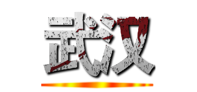 武汉 ()