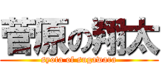 菅原の翔太 (syota of sugawara)