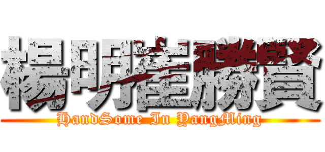 楊明崔勝賢 (HandSome In YangMing)