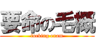要命の毛概 (fucking exam)