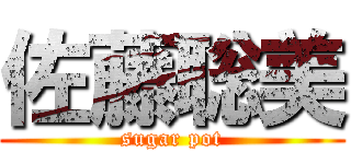 佐藤聡美 (sugar pot)