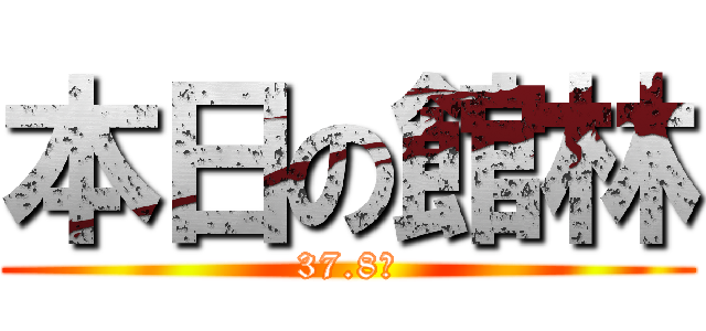 本日の館林 (37.8℃)