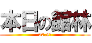 本日の館林 (37.8℃)