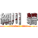 細川 碧 (attack on titan)