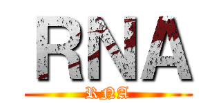 ＲＮＡ (RNA)