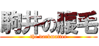 駒井の腹毛 (the darkmatter)