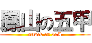 鳳山の五甲 (attack on 30A)