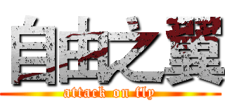 自由之翼 (attack on fly)