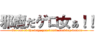 邪魔だゲロ女ぁ！！ (Get out of the way, you vomit-sucking woman)