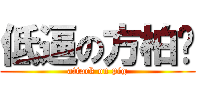 低逼の方柏婷 (attack on pig)