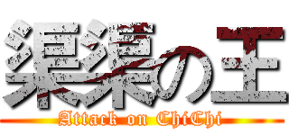 渠渠の王 (Attack on ChiChi)
