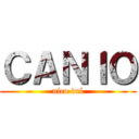 ＣＡＮＩＯ (nico del)