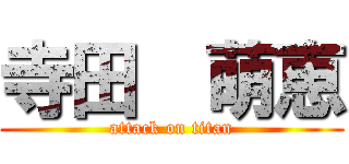 寺田  萌恵 (attack on titan)