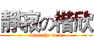 靜寂の楷欣 (what the fack)