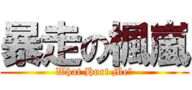 暴走の楓嵐 (What Hurt Me?)