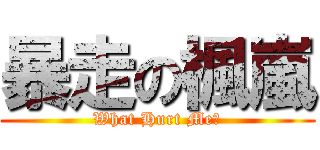 暴走の楓嵐 (What Hurt Me?)