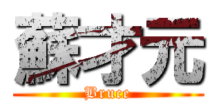 蘇才元 (Bruce)