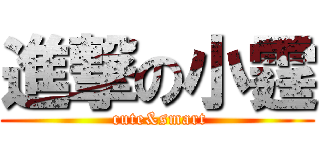 進撃の小霆 ( cute&smart)