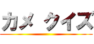 カメ クイズ ()