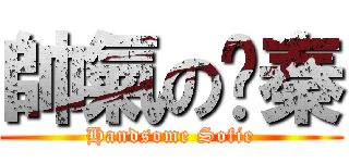 帥氣の瑋秦 (Handsome Sofie)