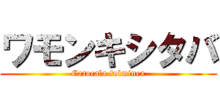 ワモンキシタバ (Catocala fulminea)