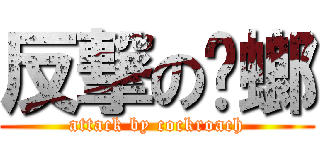 反撃の蟑螂 (attack by cockroach)